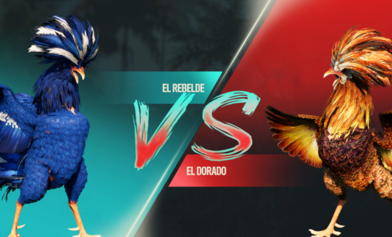 Đá Gà ISC – Trải Nghiệm Đá Gà Đỉnh Cao