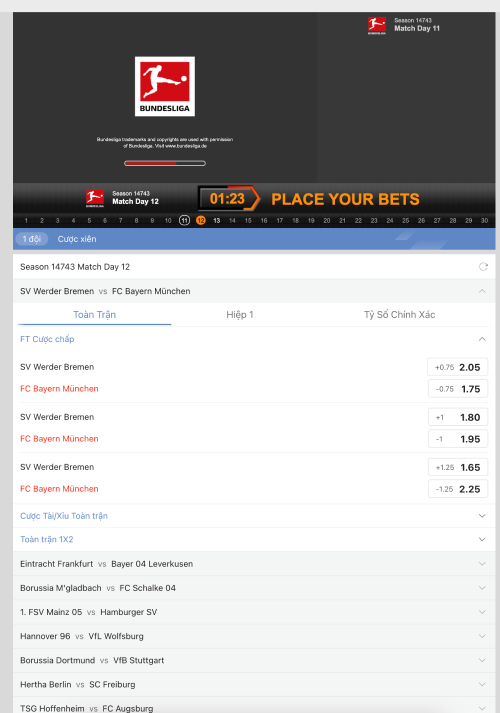 Virtual Soccer Bundesliga